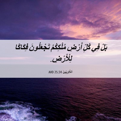 Picture 06 - اَللَّاوِيِّينَ 25:24 AVD - بَلْ فِي كُلِّ أَرْضِ - Bible Verse Picture