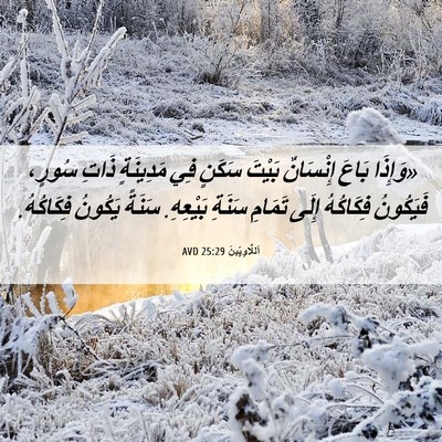 Picture 06 - اَللَّاوِيِّينَ 25:29 AVD - «وَإِذَا بَاعَ إِنْسَانٌ - Bible Verse Picture