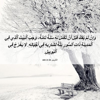 Picture 06 - اَللَّاوِيِّينَ 25:30 AVD - وَإِنْ لَمْ يُفَكَّ قَبْلَ - Bible Verse Picture
