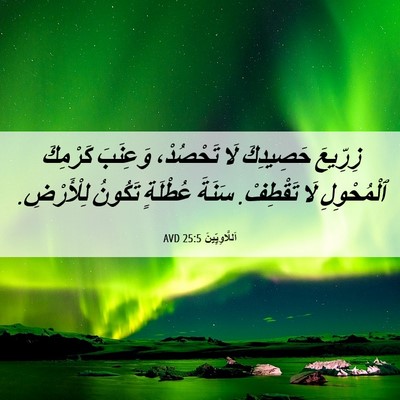 Picture 06 - اَللَّاوِيِّينَ 25:5 AVD - زِرِّيعَ حَصِيدِكَ لَا - Bible Verse Picture