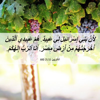 Picture 06 - اَللَّاوِيِّينَ 25:55 AVD - لِأَنَّ بَنِي - Bible Verse Picture