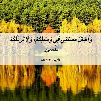 Picture 06 - اَللَّاوِيِّينَ 26:11 AVD - وَأَجْعَلُ مَسْكَنِي فِي - Bible Verse Picture