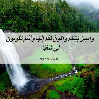 Picture 06 - اَللَّاوِيِّينَ 26:12 AVD - وَأَسِيرُ بَيْنَكُمْ - Bible Verse Picture