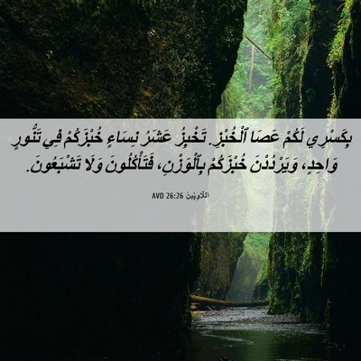 Picture 06 - اَللَّاوِيِّينَ 26:26 AVD - بِكَسْرِي لَكُمْ عَصَا - Bible Verse Picture