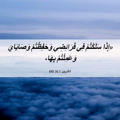 Picture 06 - اَللَّاوِيِّينَ 26:3 AVD - «إِذَا سَلَكْتُمْ فِي - Bible Verse Picture