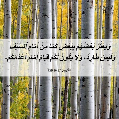 Picture 06 - اَللَّاوِيِّينَ 26:37 AVD - وَيَعْثُرُ بَعْضُهُمْ - Bible Verse Picture