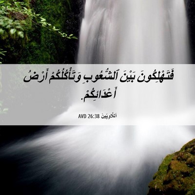 Picture 06 - اَللَّاوِيِّينَ 26:38 AVD - فَتَهْلِكُونَ بَيْنَ - Bible Verse Picture