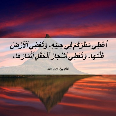 Picture 06 - اَللَّاوِيِّينَ 26:4 AVD - أُعْطِي مَطَرَكُمْ فِي - Bible Verse Picture