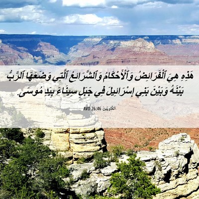 Picture 06 - اَللَّاوِيِّينَ 26:46 AVD - هَذِهِ هِيَ ٱلْفَرَائِضُ - Bible Verse Picture
