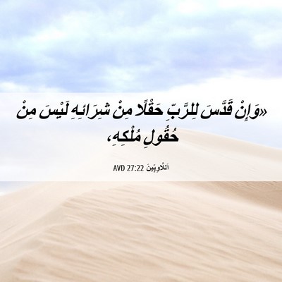 Picture 06 - اَللَّاوِيِّينَ 27:22 AVD - «وَإِنْ قَدَّسَ لِلرَّبِّ - Bible Verse Picture