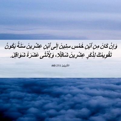 Picture 06 - اَللَّاوِيِّينَ 27:5 AVD - وَإِنْ كَانَ مِنِ ٱبْنِ - Bible Verse Picture