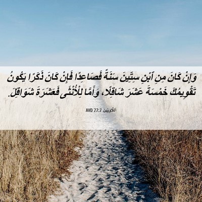 Picture 06 - اَللَّاوِيِّينَ 27:7 AVD - وَإِنْ كَانَ مِنِ ٱبْنِ - Bible Verse Picture
