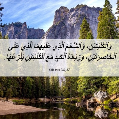 Picture 06 - اَللَّاوِيِّينَ 3:10 AVD - وَٱلْكُلْيَتَيْنِ، - Bible Verse Picture