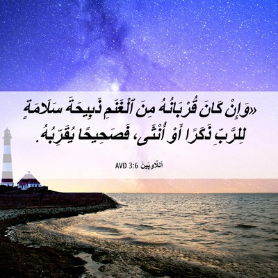 Picture 06 - اَللَّاوِيِّينَ 3:6 AVD - «وَإِنْ كَانَ قُرْبَانُهُ - Bible Verse Picture