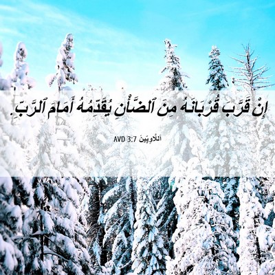 Picture 06 - اَللَّاوِيِّينَ 3:7 AVD - إِنْ قَرَّبَ قُرْبَانَهُ - Bible Verse Picture