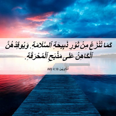Picture 06 - اَللَّاوِيِّينَ 4:10 AVD - كَمَا تُنْزَعُ مِنْ ثَوْرِ - Bible Verse Picture