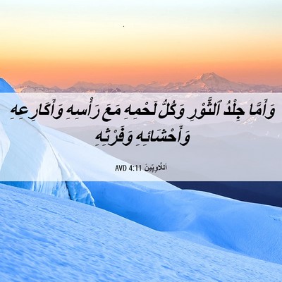 Picture 06 - اَللَّاوِيِّينَ 4:11 AVD - وَأَمَّا جِلْدُ ٱلثَّوْرِ - Bible Verse Picture