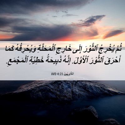 Picture 06 - اَللَّاوِيِّينَ 4:21 AVD - ثُمَّ يُخْرِجُ ٱلثَّوْرَ - Bible Verse Picture