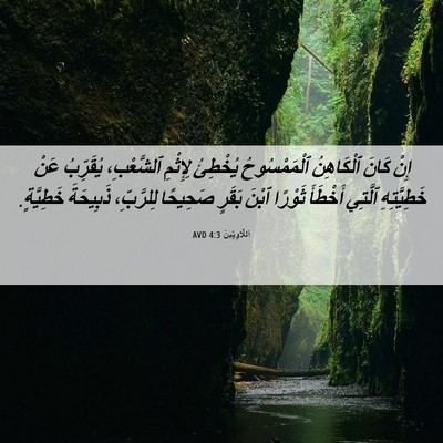 Picture 06 - اَللَّاوِيِّينَ 4:3 AVD - إِنْ كَانَ ٱلْكَاهِنُ - Bible Verse Picture