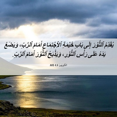 Picture 06 - اَللَّاوِيِّينَ 4:4 AVD - يُقَدِّمُ ٱلثَّوْرَ إِلَى - Bible Verse Picture