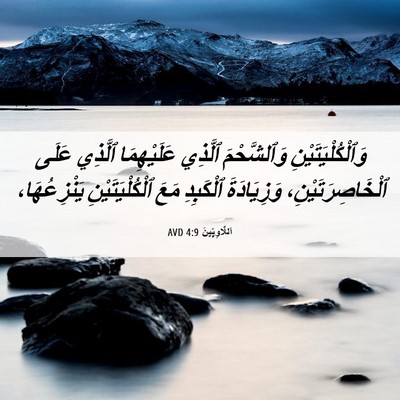 Picture 06 - اَللَّاوِيِّينَ 4:9 AVD - وَٱلْكُلْيَتَيْنِ - Bible Verse Picture