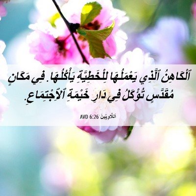 Picture 06 - اَللَّاوِيِّينَ 6:26 AVD - ٱلْكَاهِنُ ٱلَّذِي - Bible Verse Picture