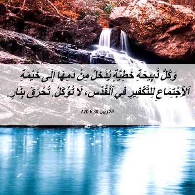 Picture 06 - اَللَّاوِيِّينَ 6:30 AVD - وَكُلُّ ذَبِيحَةِ - Bible Verse Picture