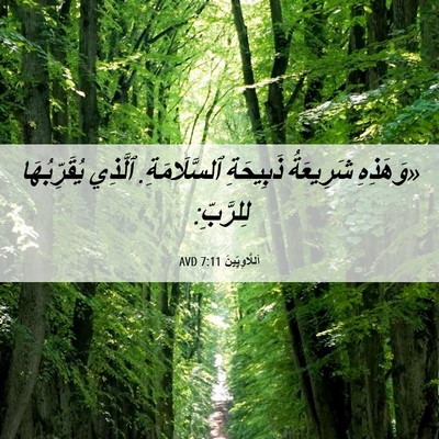 Picture 06 - اَللَّاوِيِّينَ 7:11 AVD - «وَهَذِهِ شَرِيعَةُ - Bible Verse Picture