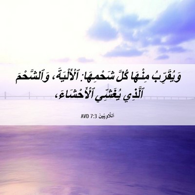Picture 06 - اَللَّاوِيِّينَ 7:3 AVD - وَيُقَرِّبُ مِنْهَا كُلَّ - Bible Verse Picture