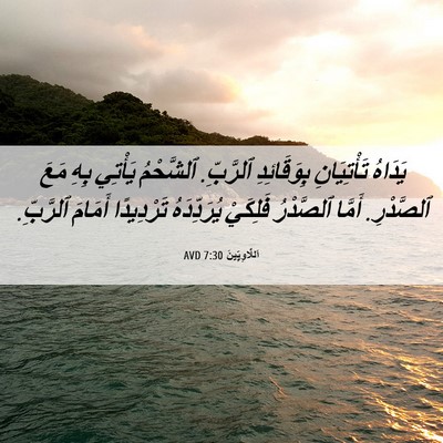 Picture 06 - اَللَّاوِيِّينَ 7:30 AVD - يَدَاهُ تَأْتِيَانِ - Bible Verse Picture