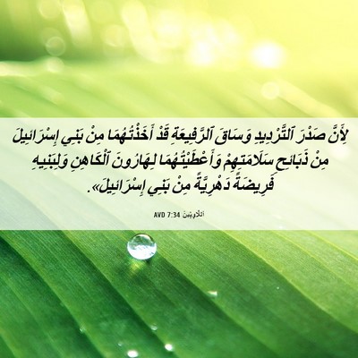 Picture 06 - اَللَّاوِيِّينَ 7:34 AVD - لِأَنَّ صَدْرَ - Bible Verse Picture