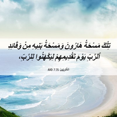 Picture 06 - اَللَّاوِيِّينَ 7:35 AVD - تِلْكَ مَسْحَةُ هَارُونَ - Bible Verse Picture