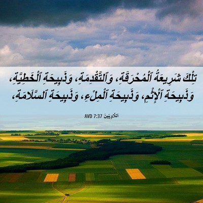Picture 06 - اَللَّاوِيِّينَ 7:37 AVD - تِلْكَ شَرِيعَةُ - Bible Verse Picture