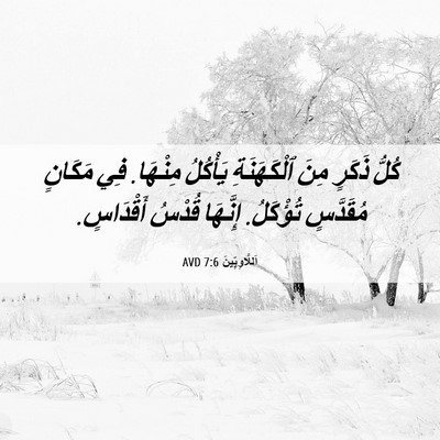 Picture 06 - اَللَّاوِيِّينَ 7:6 AVD - كُلُّ ذَكَرٍ مِنَ - Bible Verse Picture