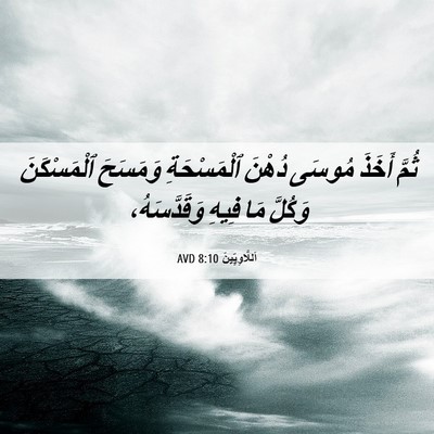 Picture 06 - اَللَّاوِيِّينَ 8:10 AVD - ثُمَّ أَخَذَ مُوسَى دُهْنَ - Bible Verse Picture