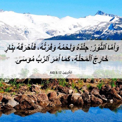 Picture 06 - اَللَّاوِيِّينَ 8:17 AVD - وَأَمَّا ٱلثَّوْرُ: - Bible Verse Picture