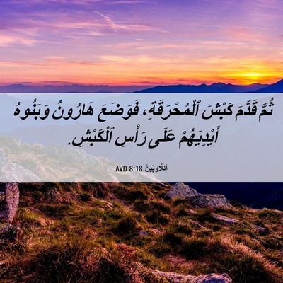 Picture 06 - اَللَّاوِيِّينَ 8:18 AVD - ثُمَّ قَدَّمَ كَبْشَ - Bible Verse Picture