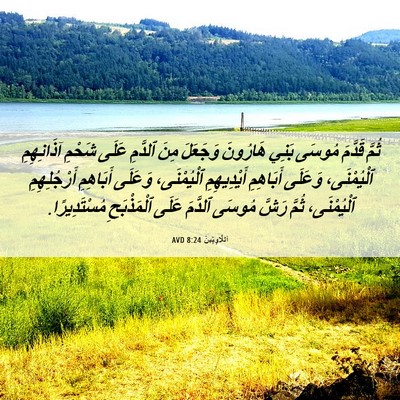 Picture 06 - اَللَّاوِيِّينَ 8:24 AVD - ثُمَّ قَدَّمَ مُوسَى بَنِي - Bible Verse Picture