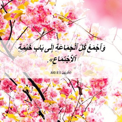 Picture 06 - اَللَّاوِيِّينَ 8:3 AVD - وَٱجْمَعْ كُلَّ - Bible Verse Picture