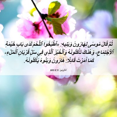 Picture 06 - اَللَّاوِيِّينَ 8:31 AVD - ثُمَّ قَالَ مُوسَى - Bible Verse Picture