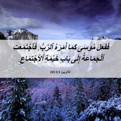 Picture 06 - اَللَّاوِيِّينَ 8:4 AVD - فَفَعَلَ مُوسَى كَمَا - Bible Verse Picture