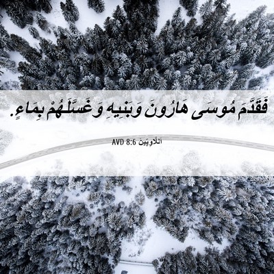 Picture 06 - اَللَّاوِيِّينَ 8:6 AVD - فَقَدَّمَ مُوسَى هَارُونَ - Bible Verse Picture