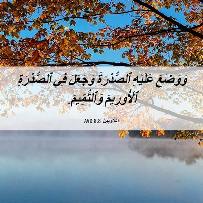 Picture 06 - اَللَّاوِيِّينَ 8:8 AVD - وَوَضَعَ عَلَيْهِ - Bible Verse Picture