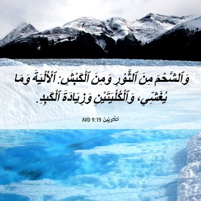 Picture 06 - اَللَّاوِيِّينَ 9:19 AVD - وَٱلشَّحْمَ مِنَ - Bible Verse Picture