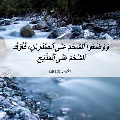 Picture 06 - اَللَّاوِيِّينَ 9:20 AVD - وَوَضَعُوا ٱلشَّحْمَ - Bible Verse Picture