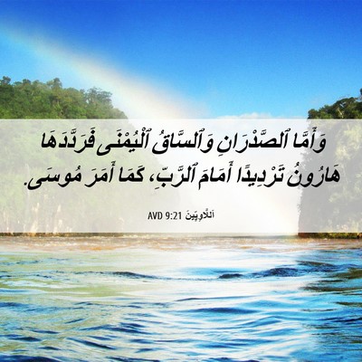 Picture 06 - اَللَّاوِيِّينَ 9:21 AVD - وَأَمَّا ٱلصَّدْرَانِ - Bible Verse Picture