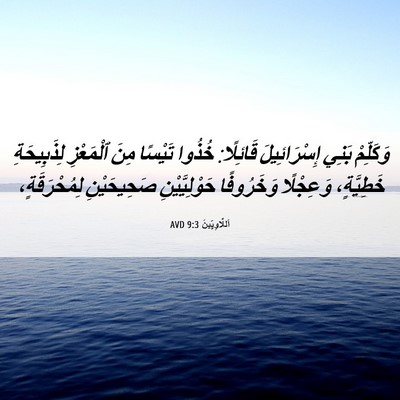 Picture 06 - اَللَّاوِيِّينَ 9:3 AVD - وَكَلِّمْ بَنِي - Bible Verse Picture