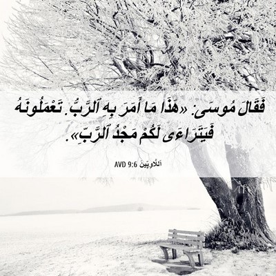 Picture 06 - اَللَّاوِيِّينَ 9:6 AVD - فَقَالَ مُوسَى: «هَذَا مَا - Bible Verse Picture