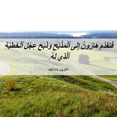Picture 06 - اَللَّاوِيِّينَ 9:8 AVD - فَتَقَدَّمَ هَارُونُ - Bible Verse Picture