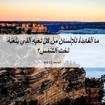 Picture 06 - اَلْجَامِعَةِ 1:3 AVD - مَا ٱلْفَائِدَةُ - Bible Verse Picture